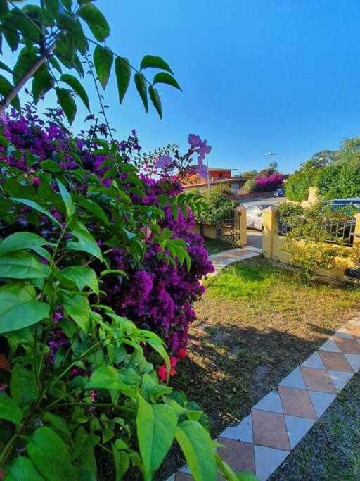 Lolivastro Holiday home